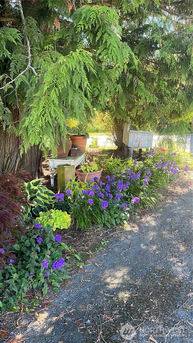 6036 N Star Road Property Photo 14