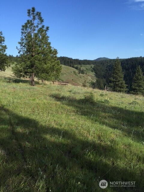 0 Bare Land Property Photo 1
