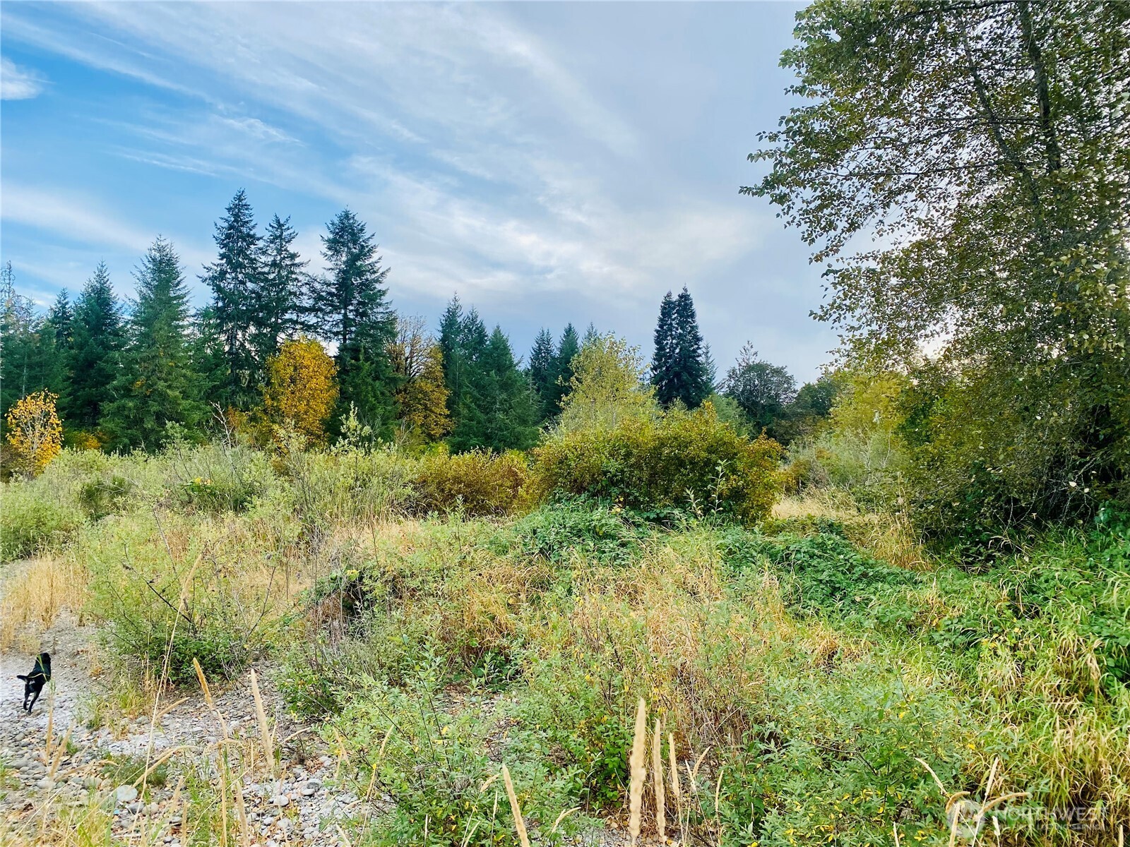 3444 W Matlock-brady Road Property Photo 4