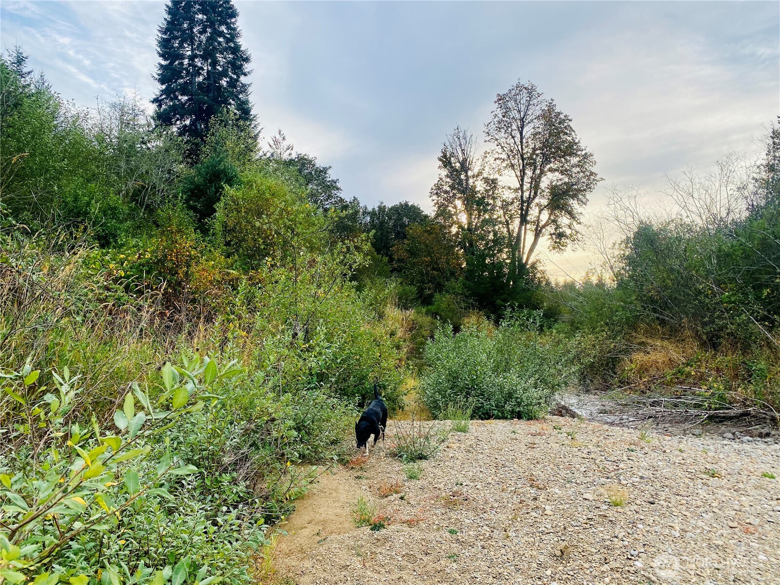 3444 W Matlock-brady Road Property Photo 9