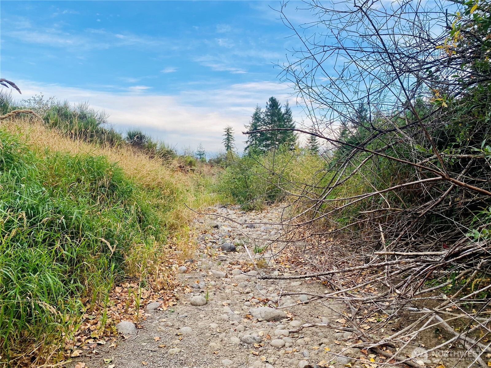 3444 W Matlock-brady Road Property Photo 11