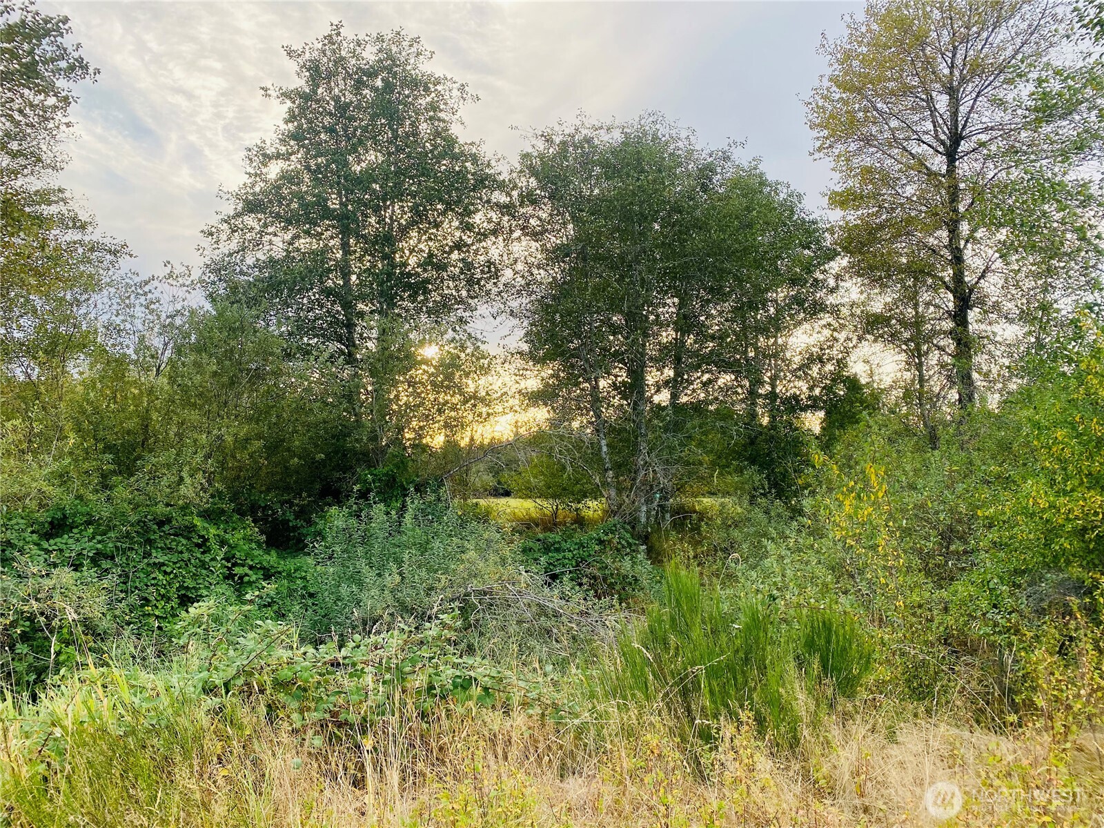3444 W Matlock-brady Road Property Photo 16
