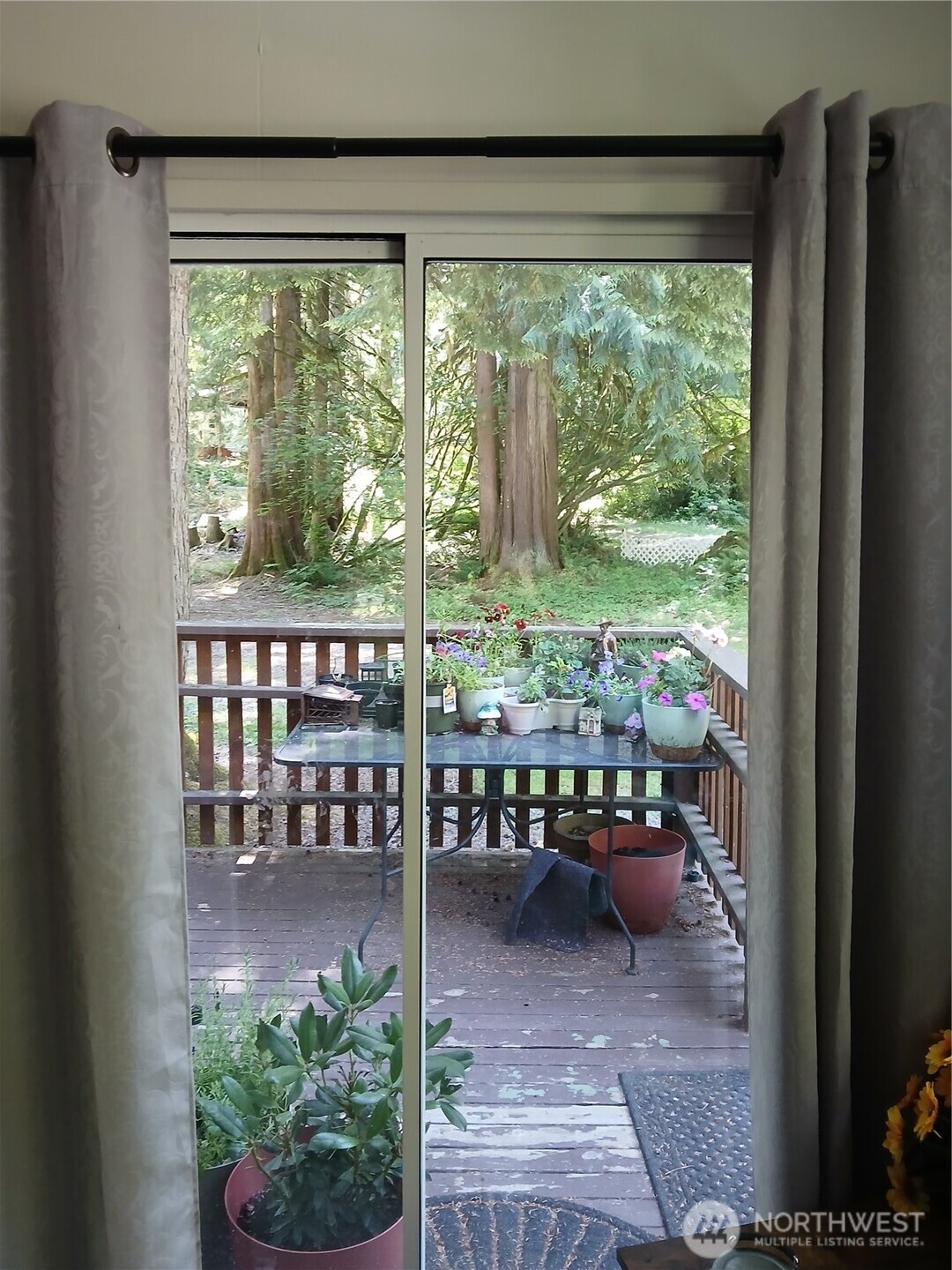 45057 Sikhs Trail Property Photo 10