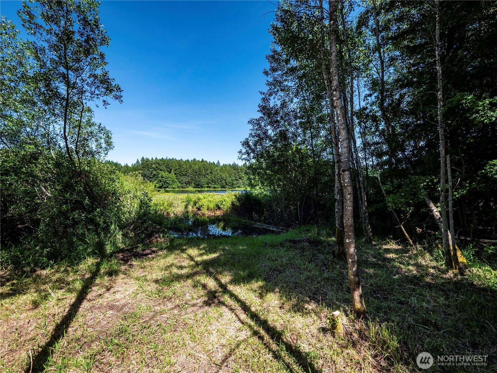 4742 Ruddell Road Property Photo 33