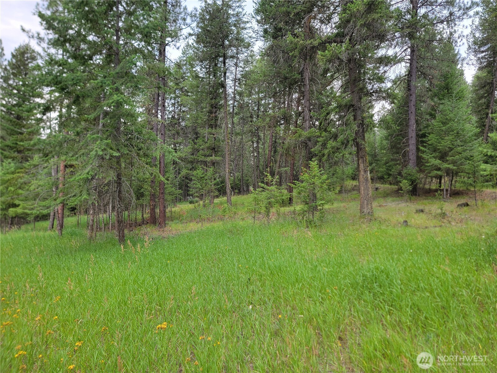 40 Evergreen Drive Property Photo 3