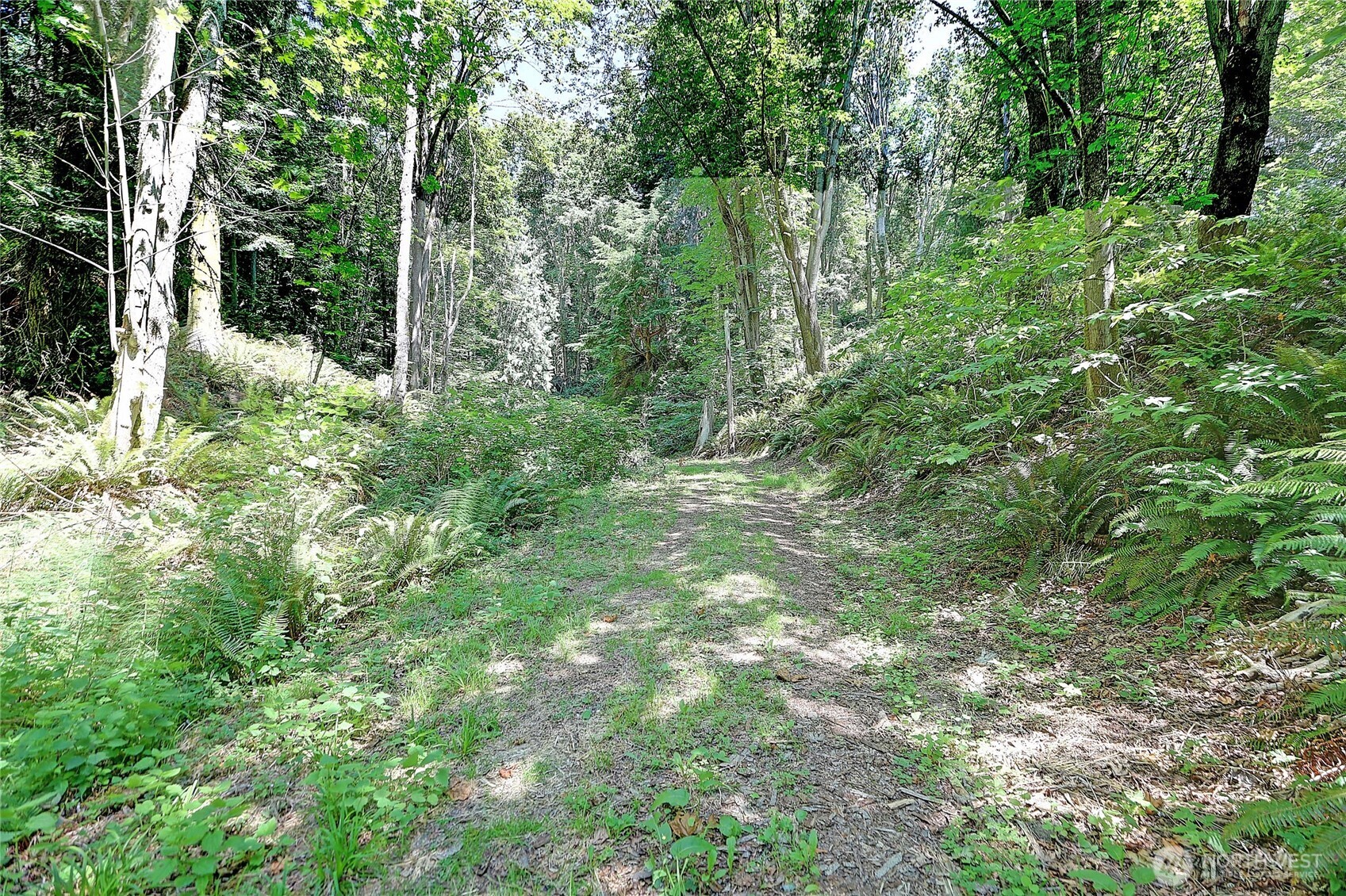 0 South Camano Drive Property Photo 7