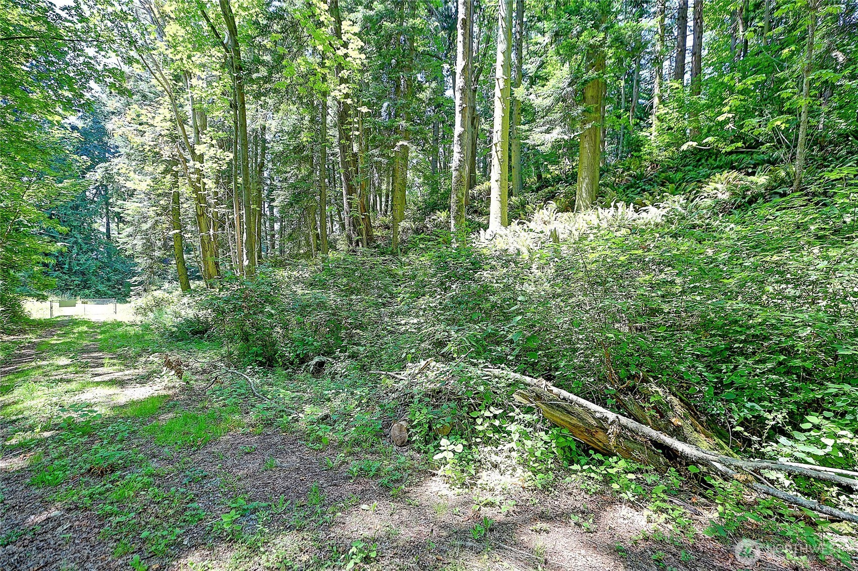 0 South Camano Drive Property Photo 8