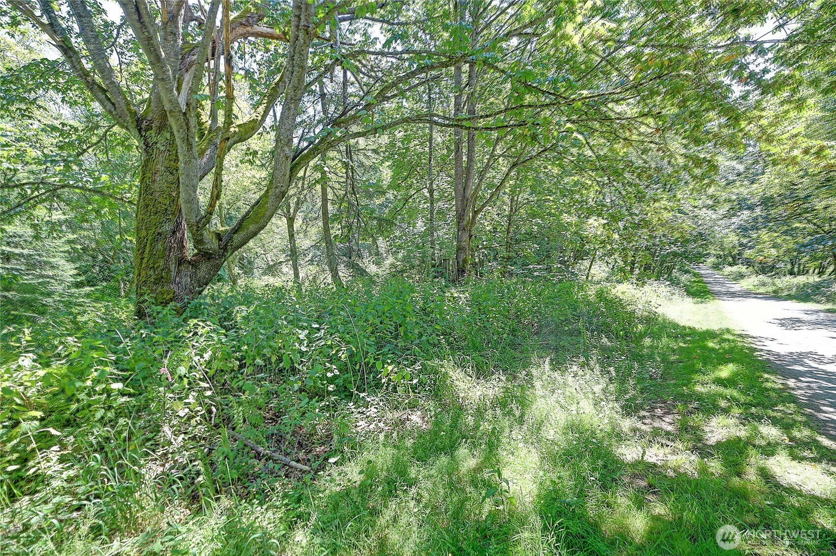 0 Eagle Ridge Drive Property Photo 3