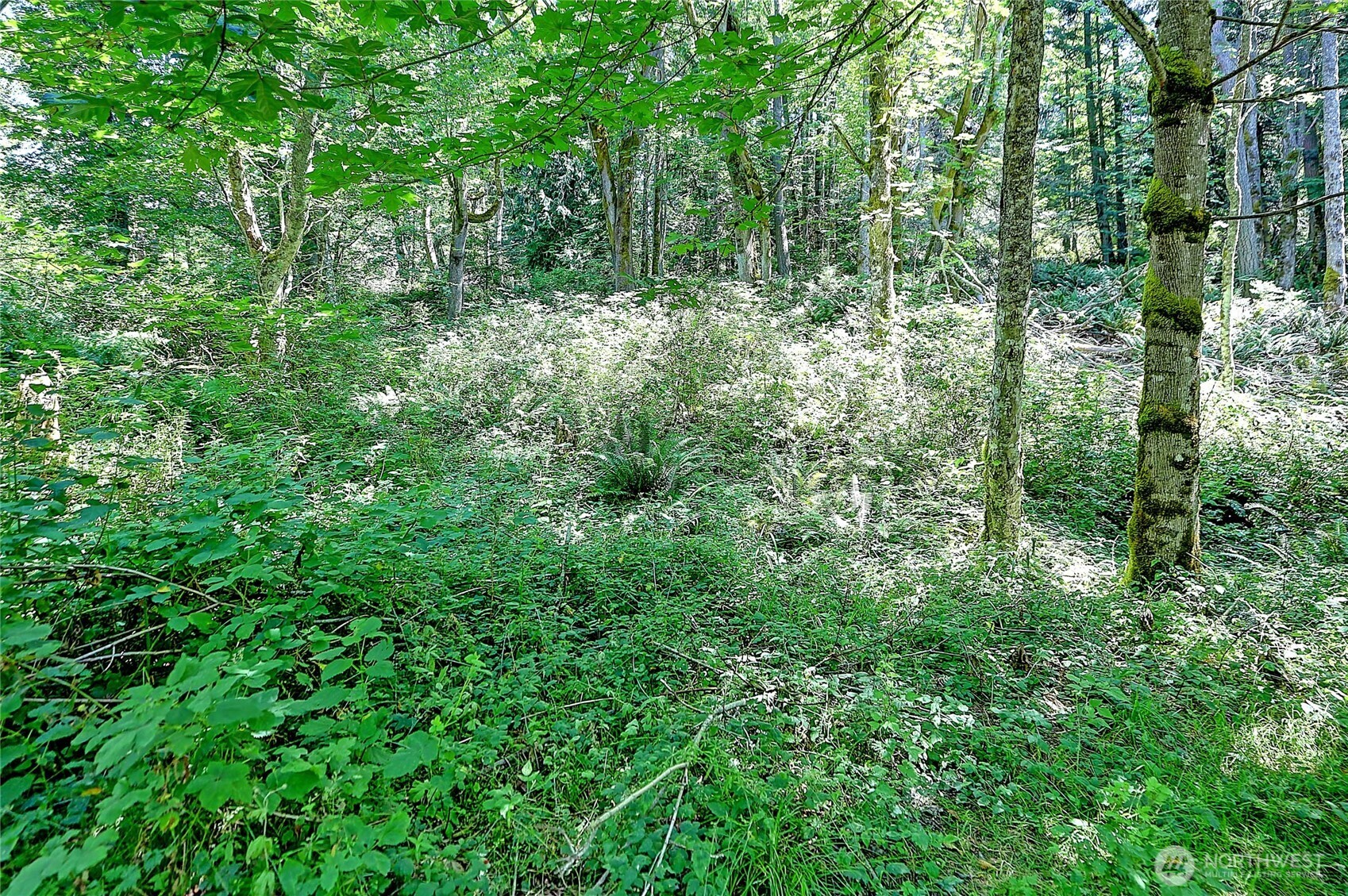 0 Eagle Ridge Drive Property Photo 9