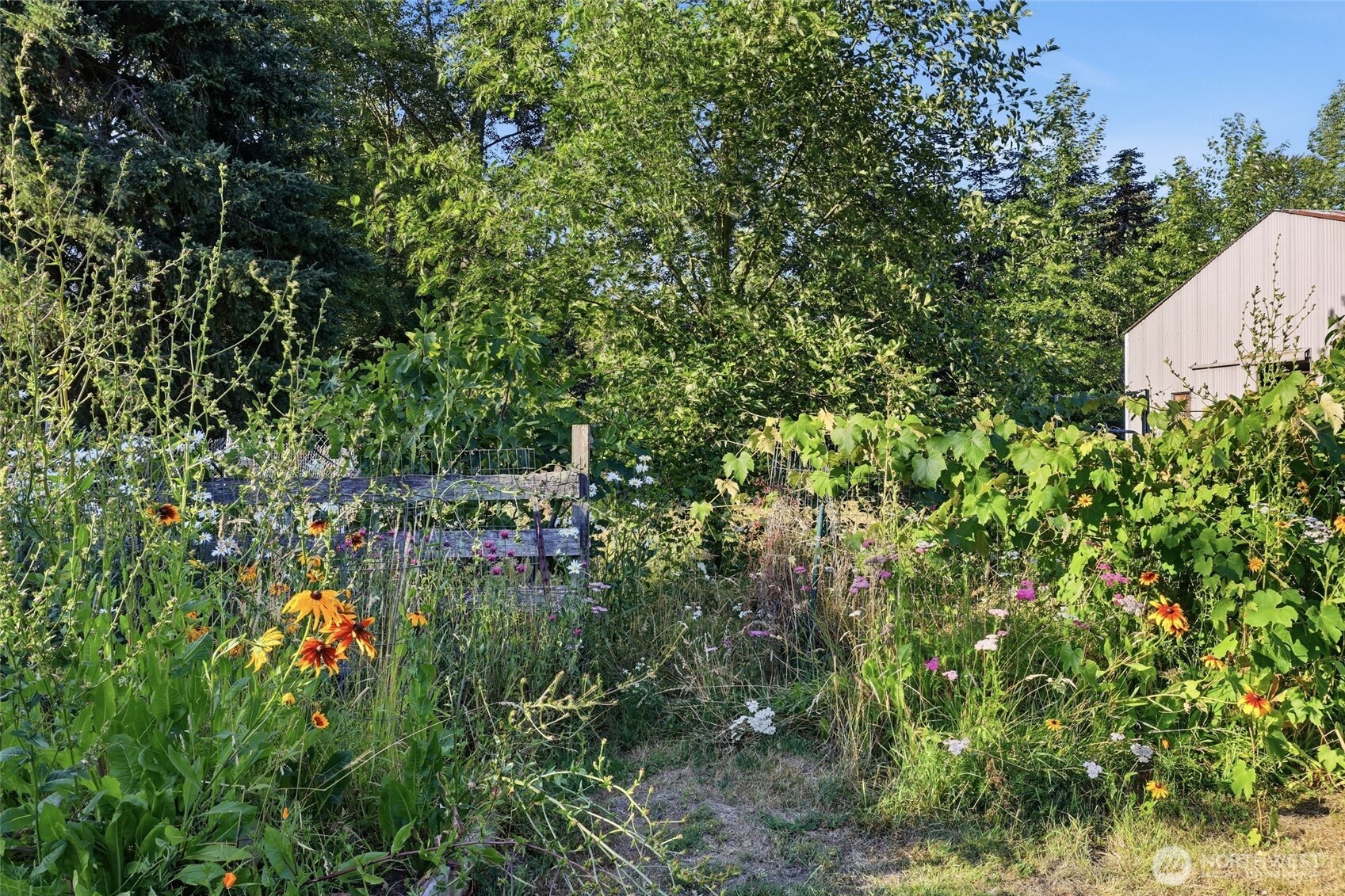 6703 Pioneer Highway Property Photo 29