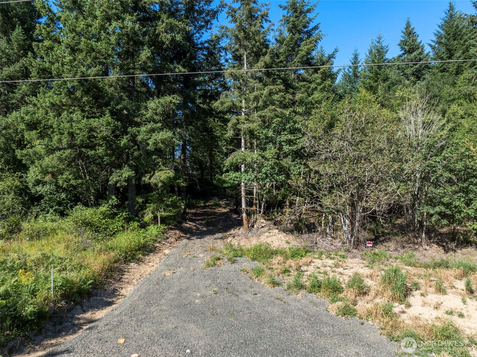 541 Centralia Alpha Road Property Photo 1