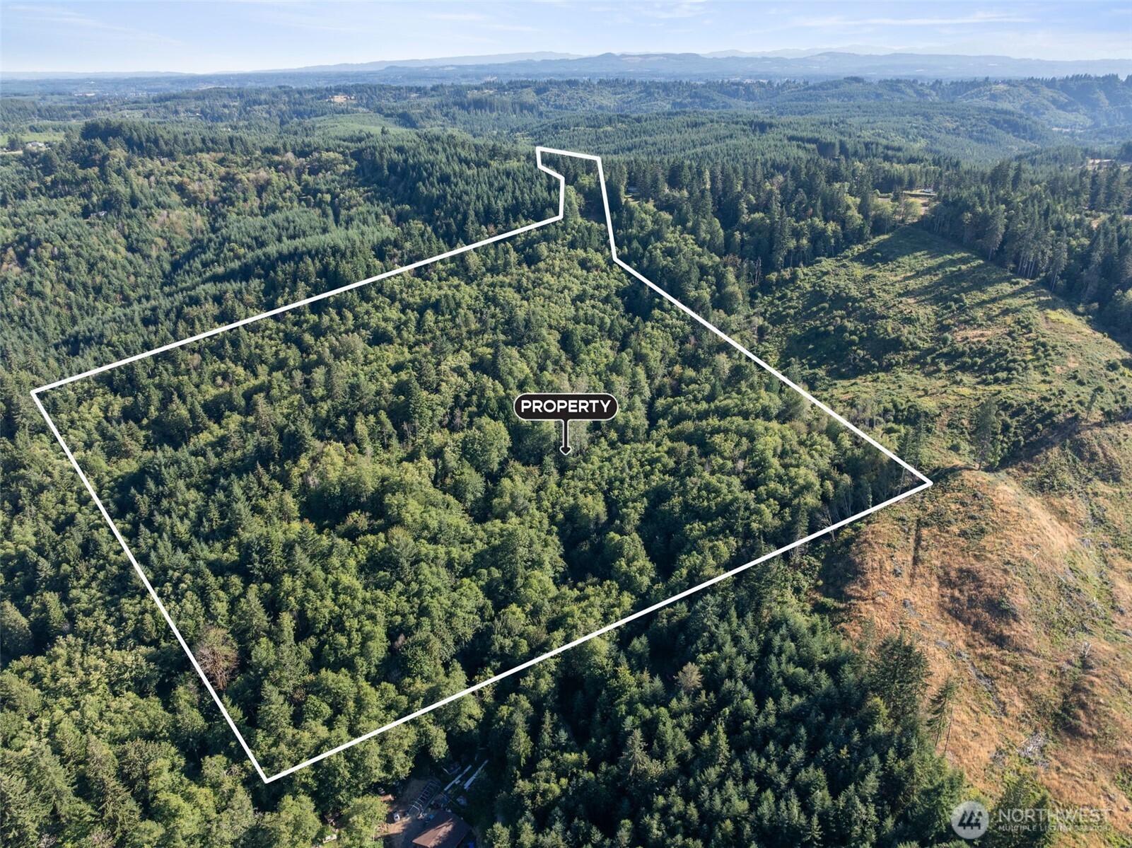 541 Centralia Alpha Road Property Photo 3