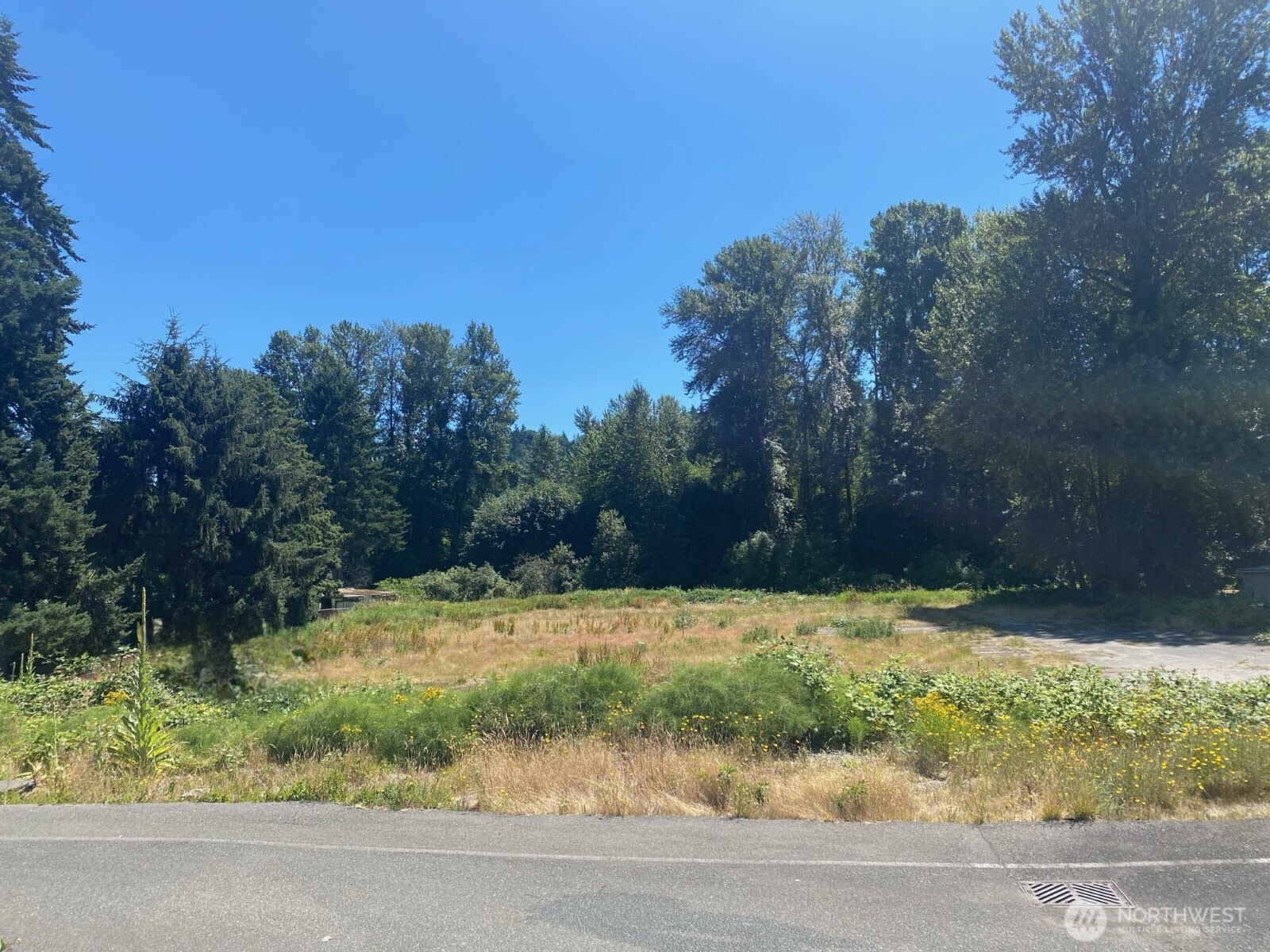 10235 Woodinville Drive Property Photo 1