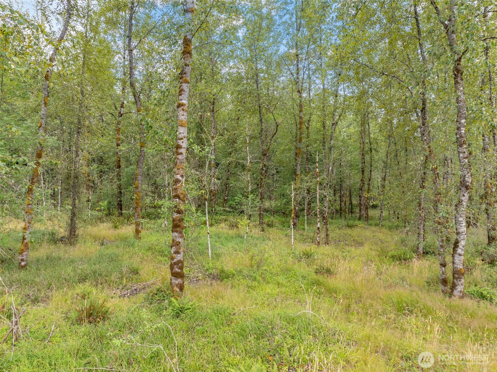 166 Jordan Way Property Photo 7