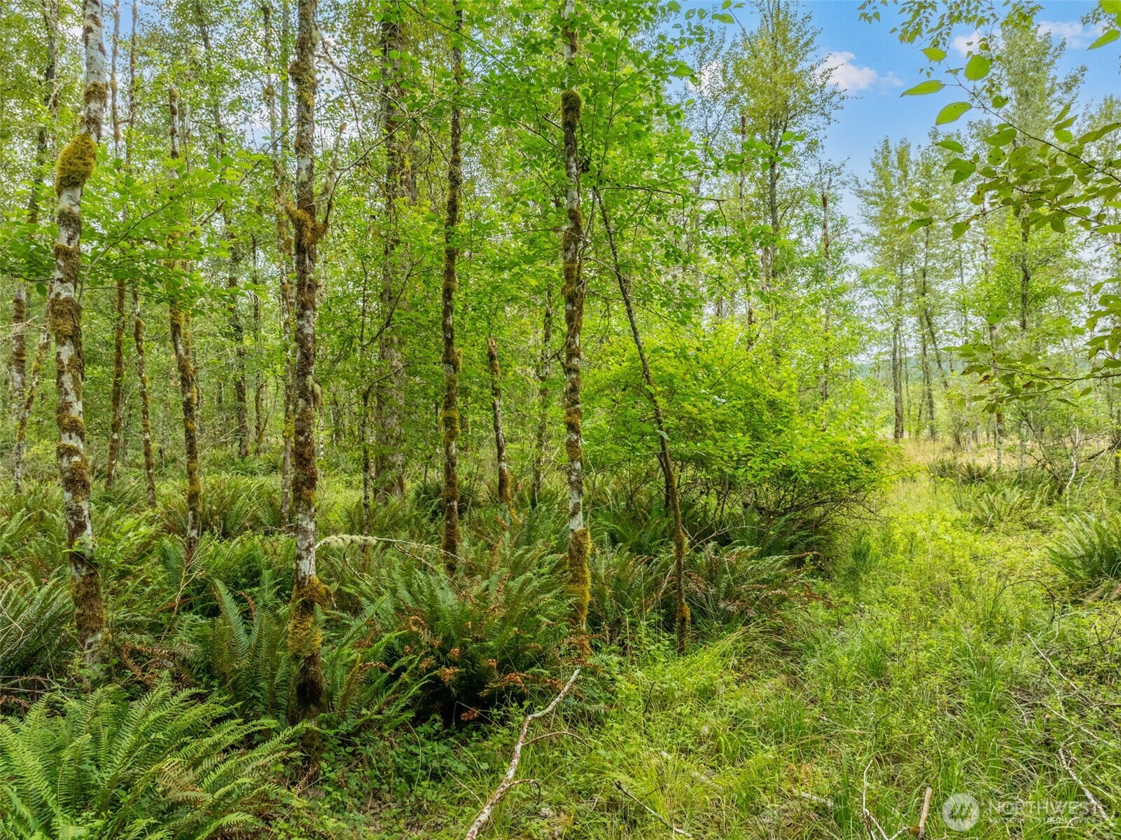 166 Jordan Way Property Photo 13