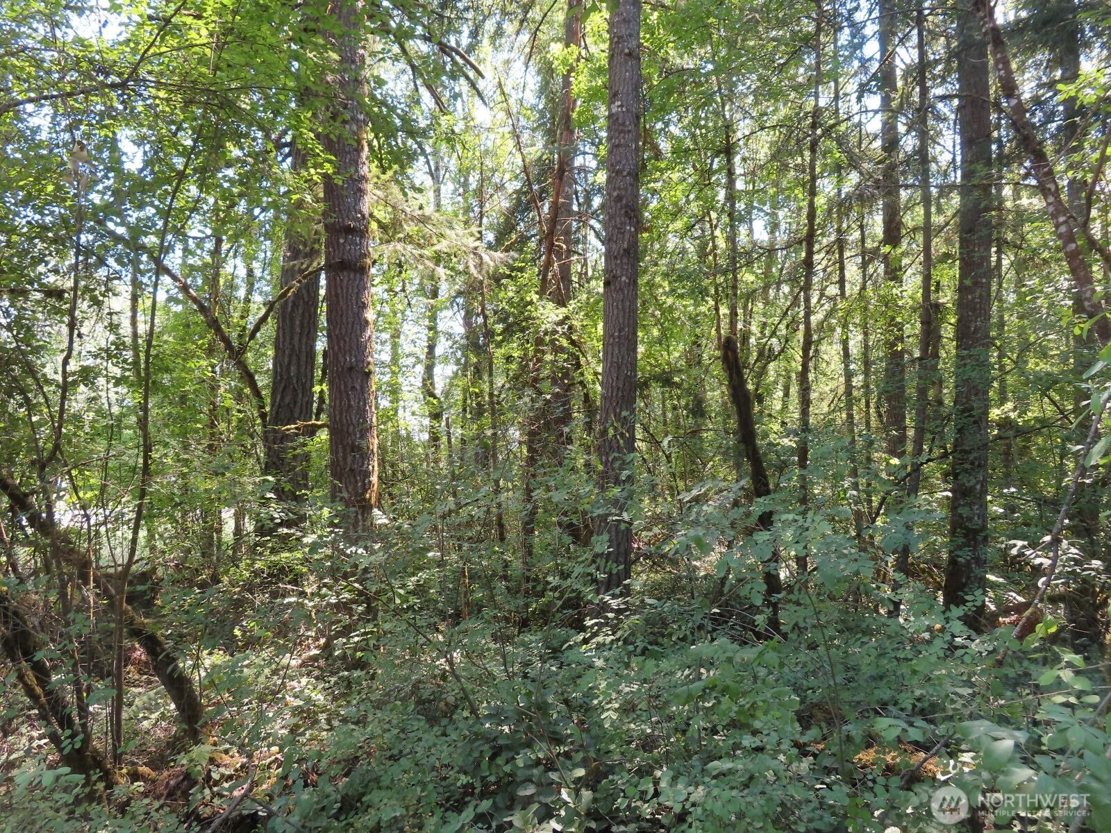 115 Campground Lane Property Photo 1
