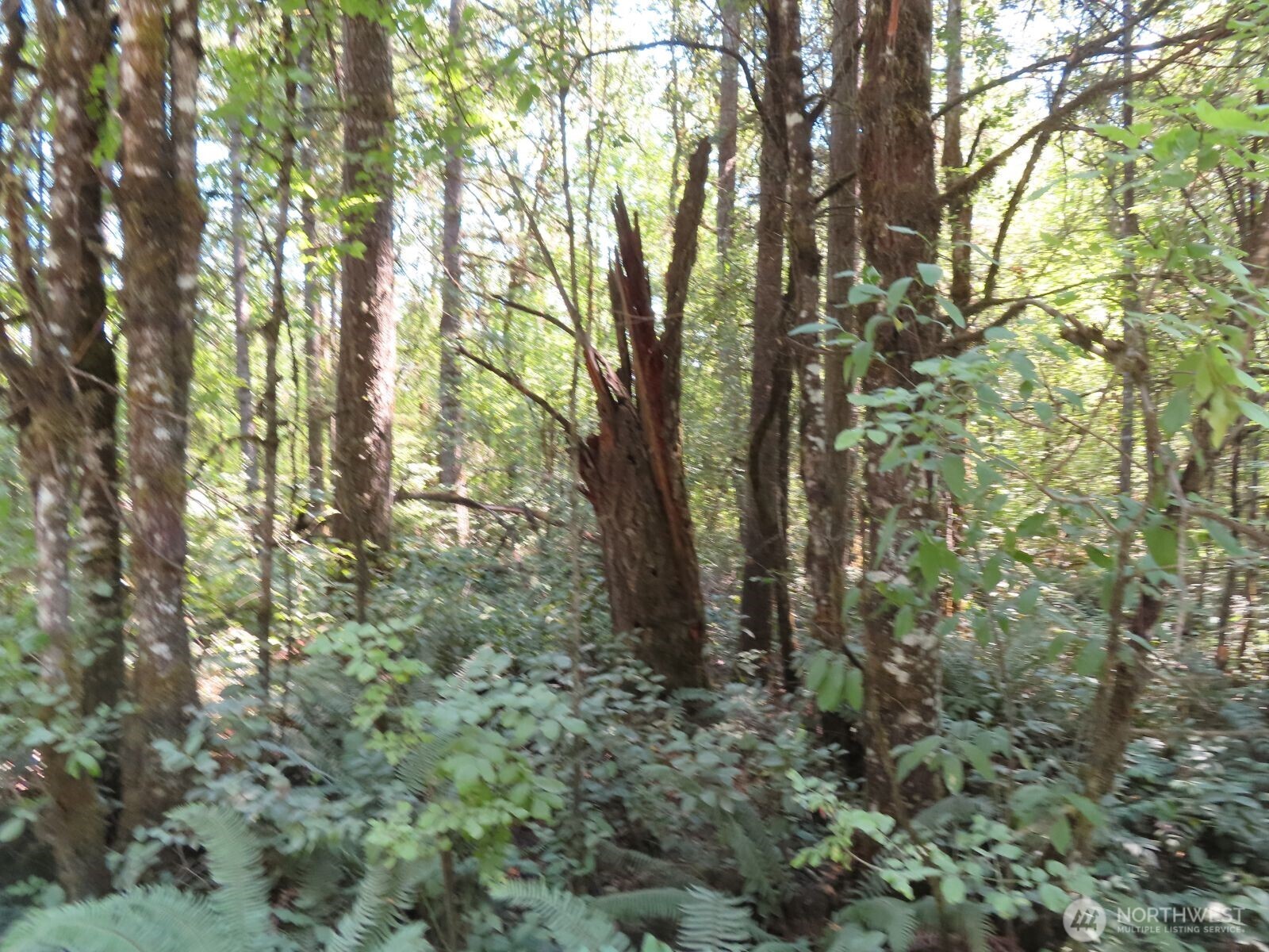 115 Campground Lane Property Photo 2