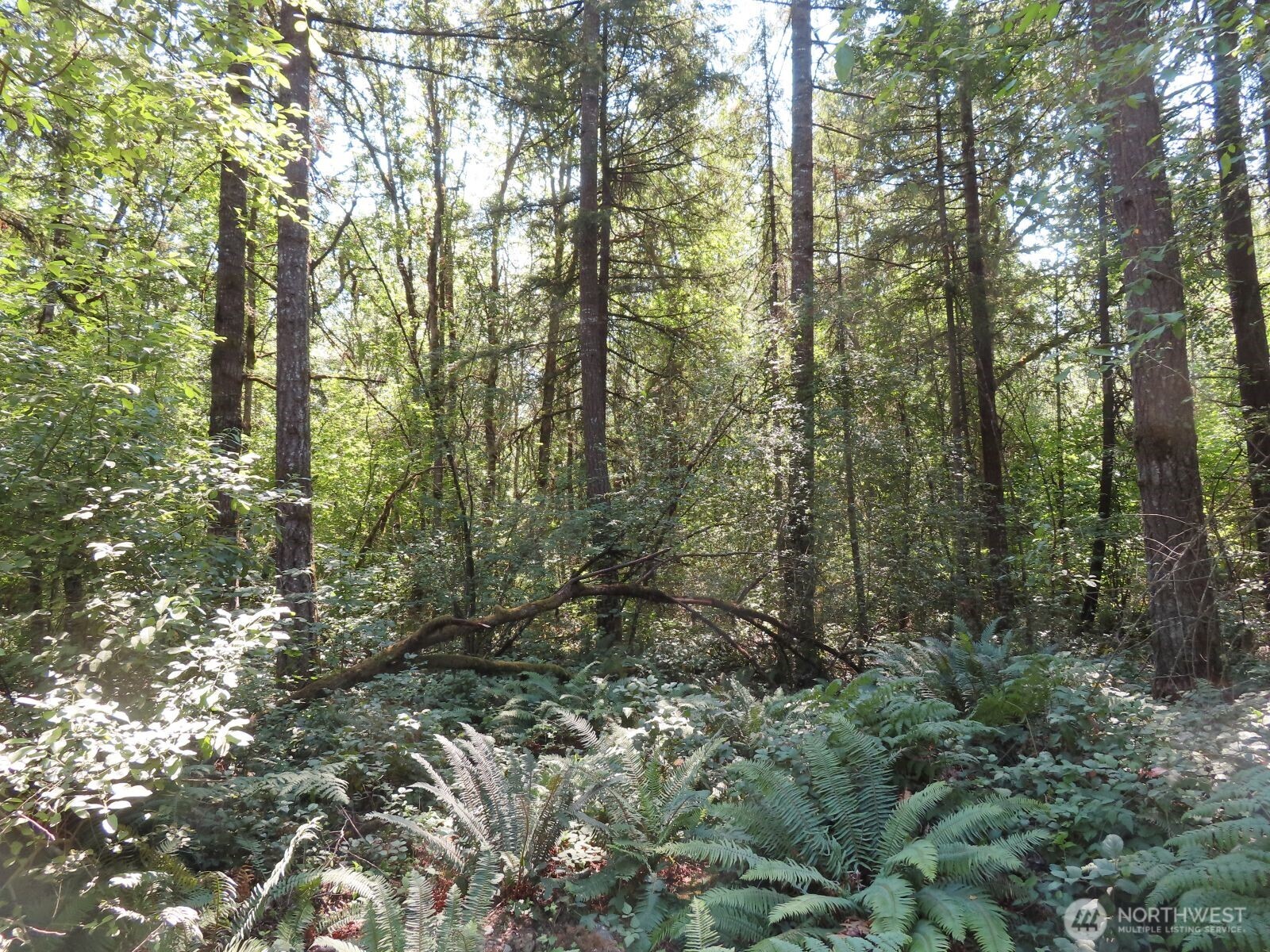 115 Campground Lane Property Photo 4
