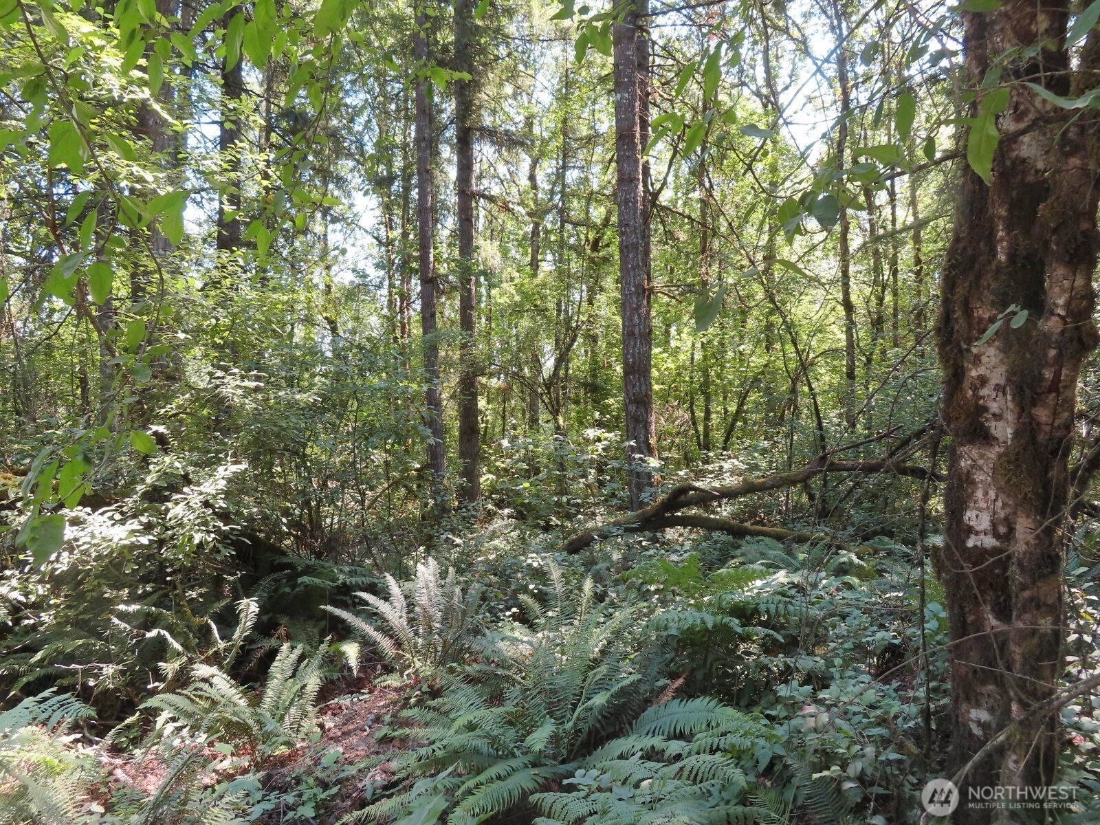 115 Campground Lane Property Photo 5