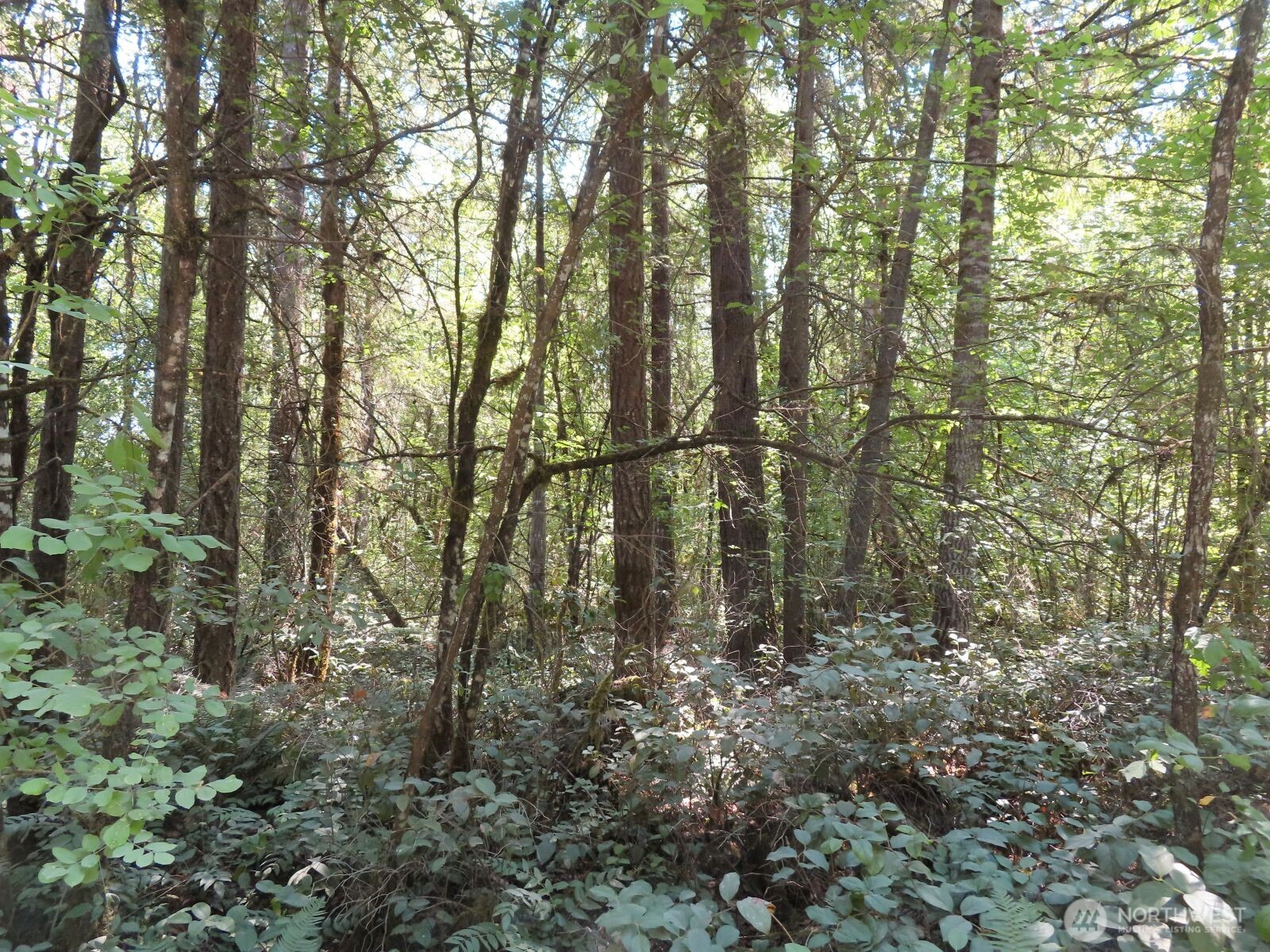 115 Campground Lane Property Photo 6