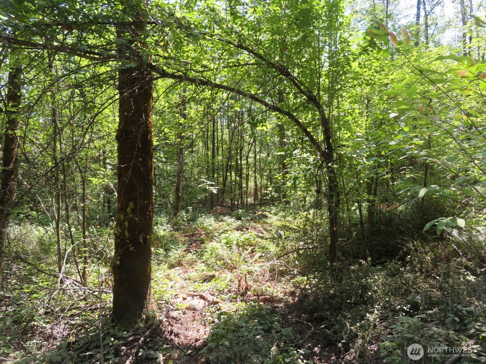 115 Campground Lane Property Photo 8