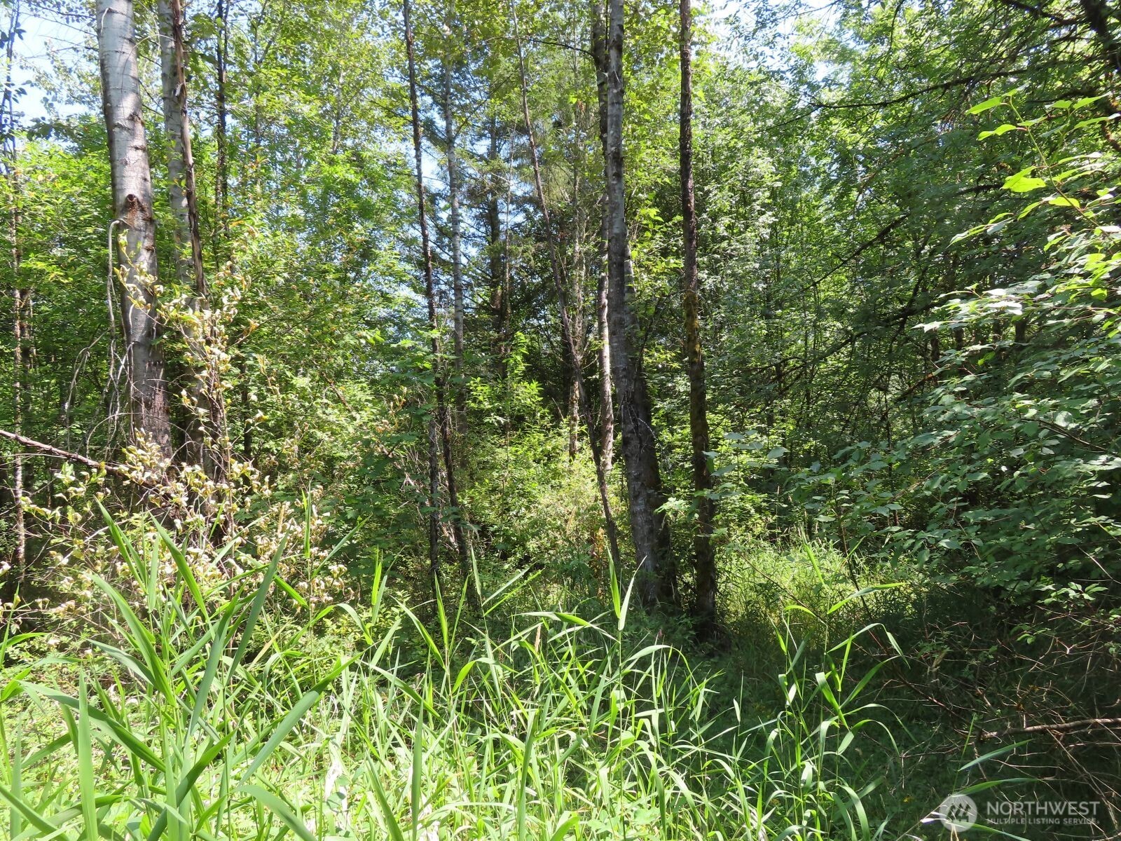 115 Campground Lane Property Photo 9