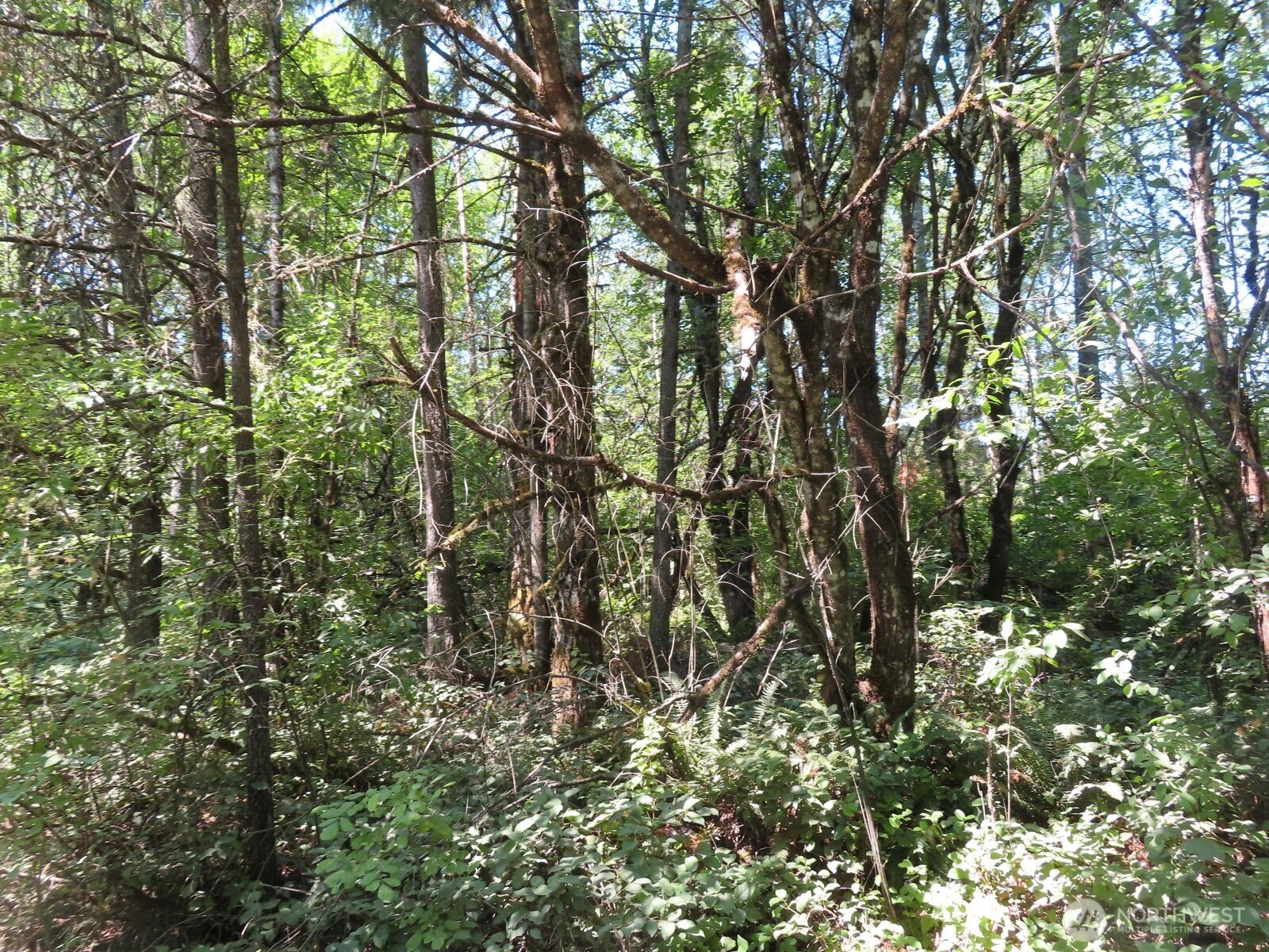 115 Campground Lane Property Photo 11