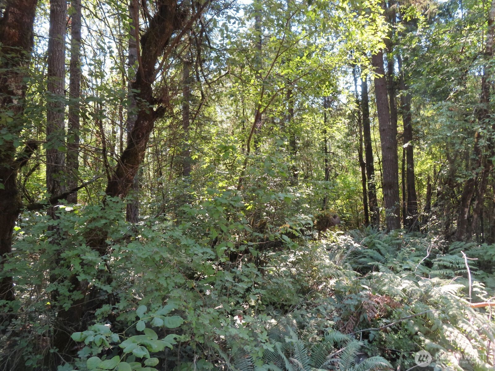 115 Campground Lane Property Photo 12