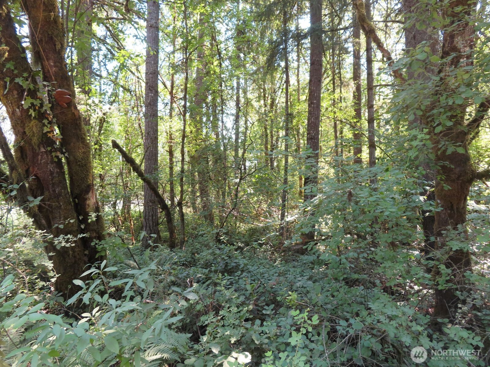 115 Campground Lane Property Photo 13
