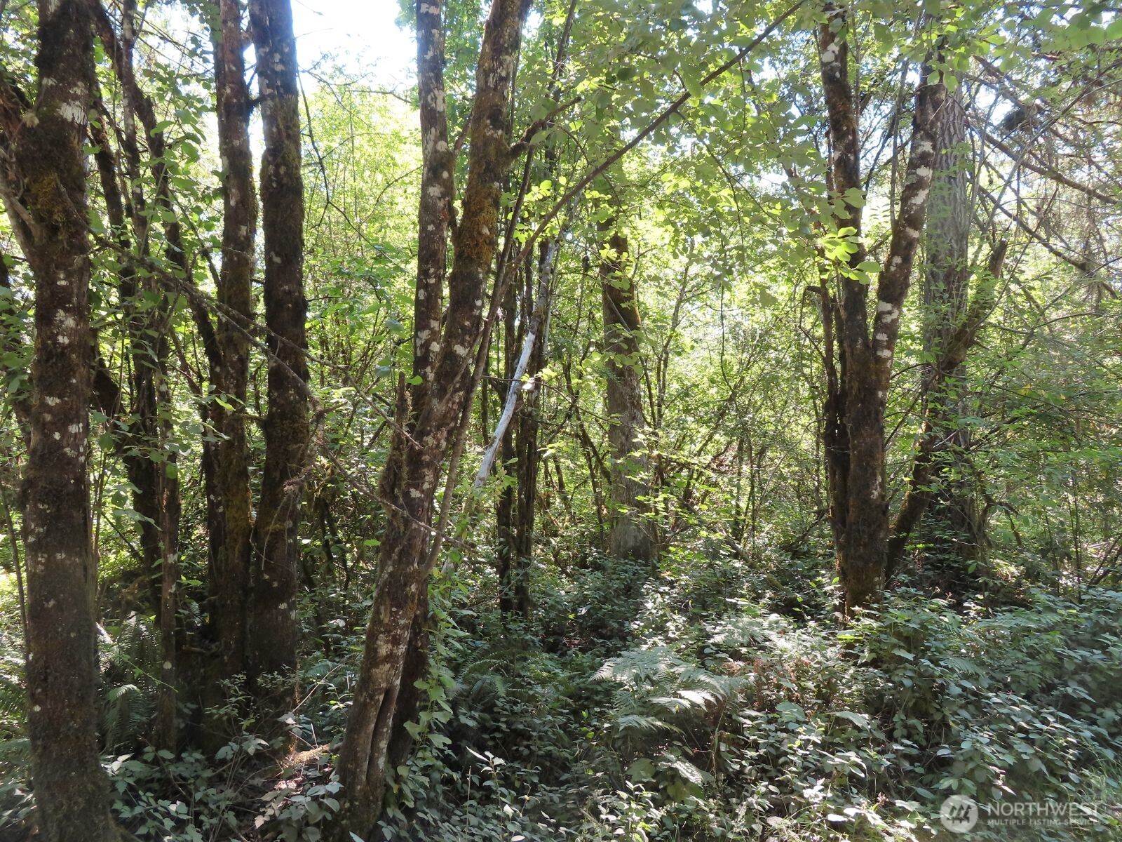 115 Campground Lane Property Photo 14