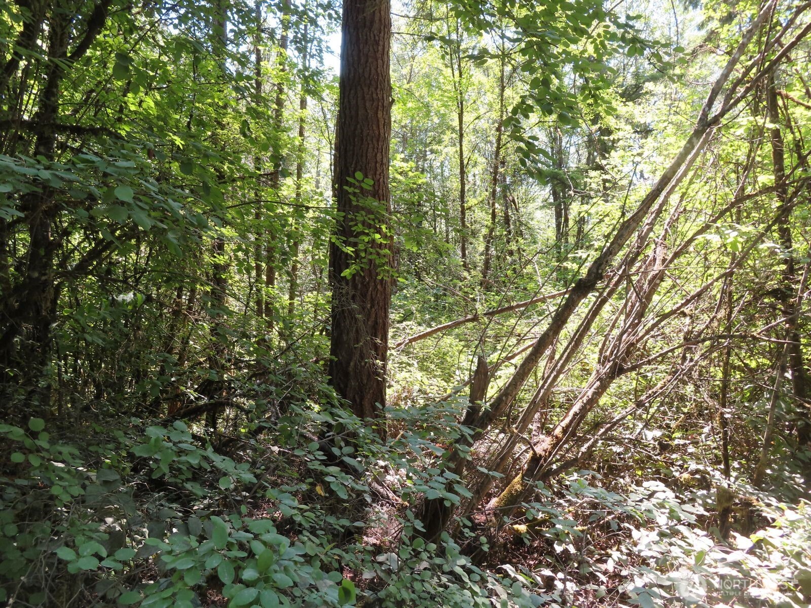 115 Campground Lane Property Photo 15