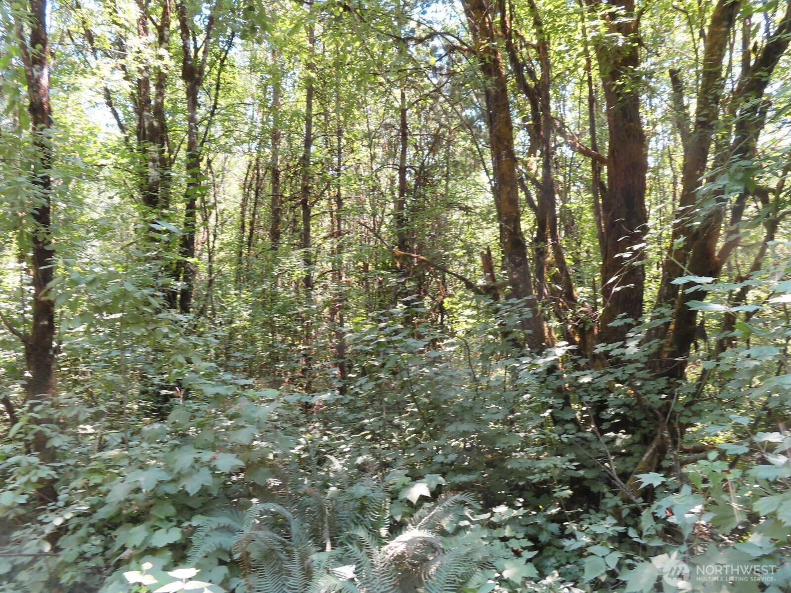 115 Campground Lane Property Photo 16