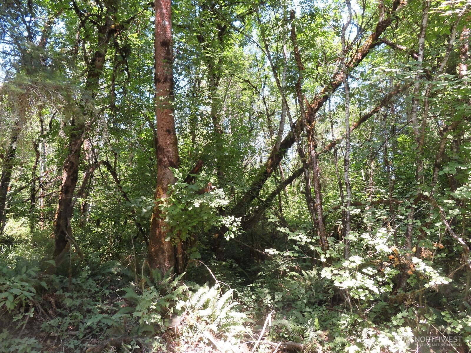 115 Campground Lane Property Photo 18