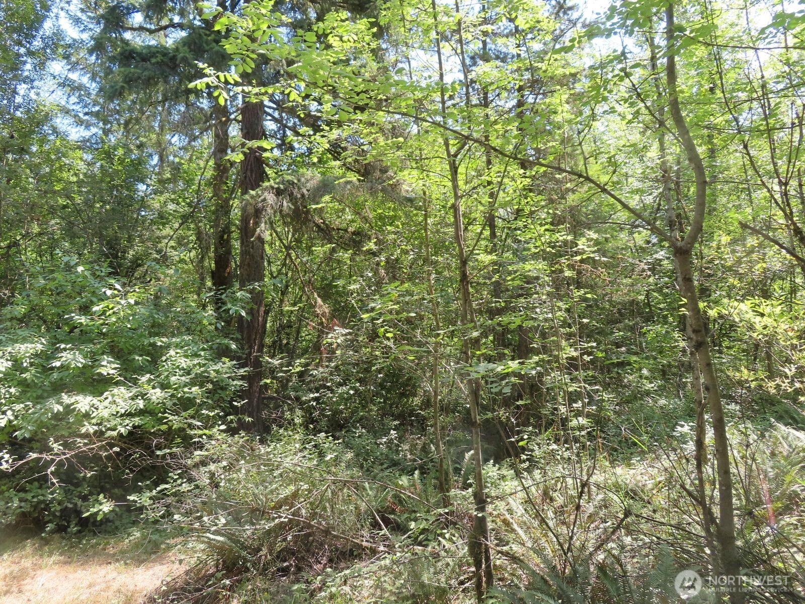 115 Campground Lane Property Photo 19