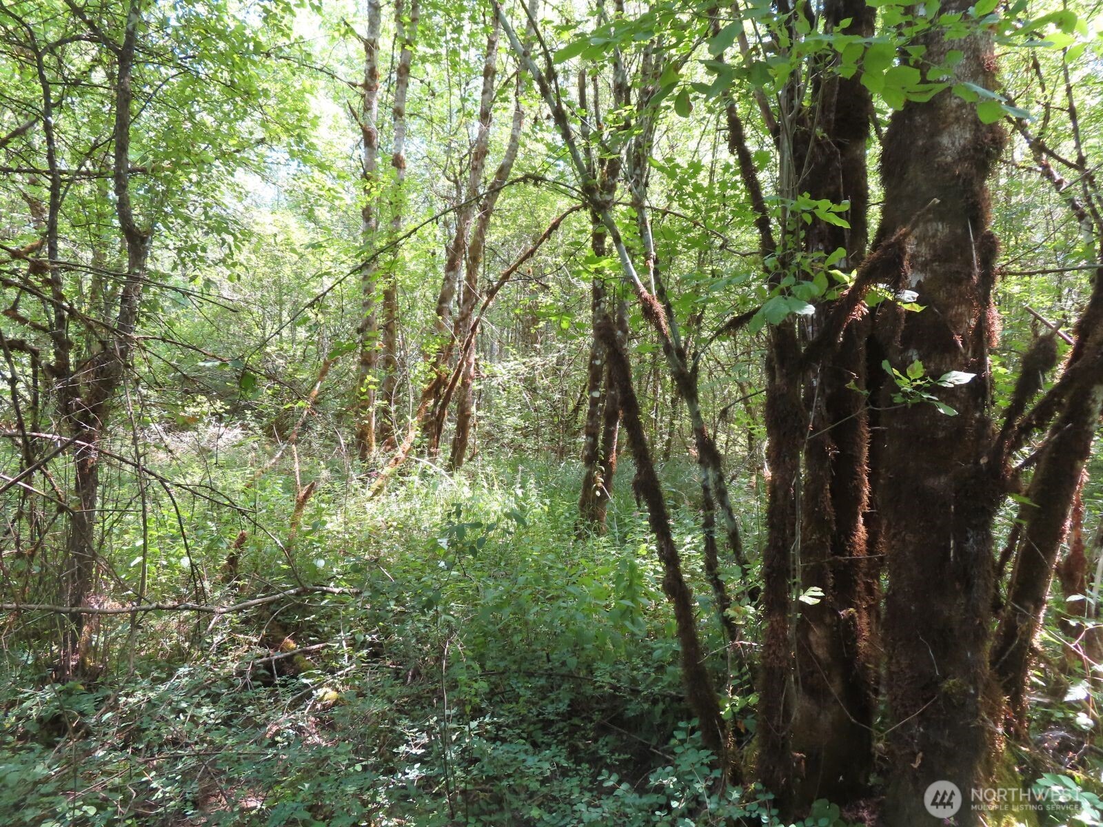 115 Campground Lane Property Photo 20