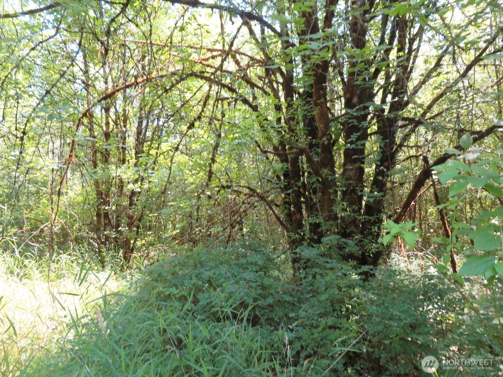 115 Campground Lane Property Photo 21