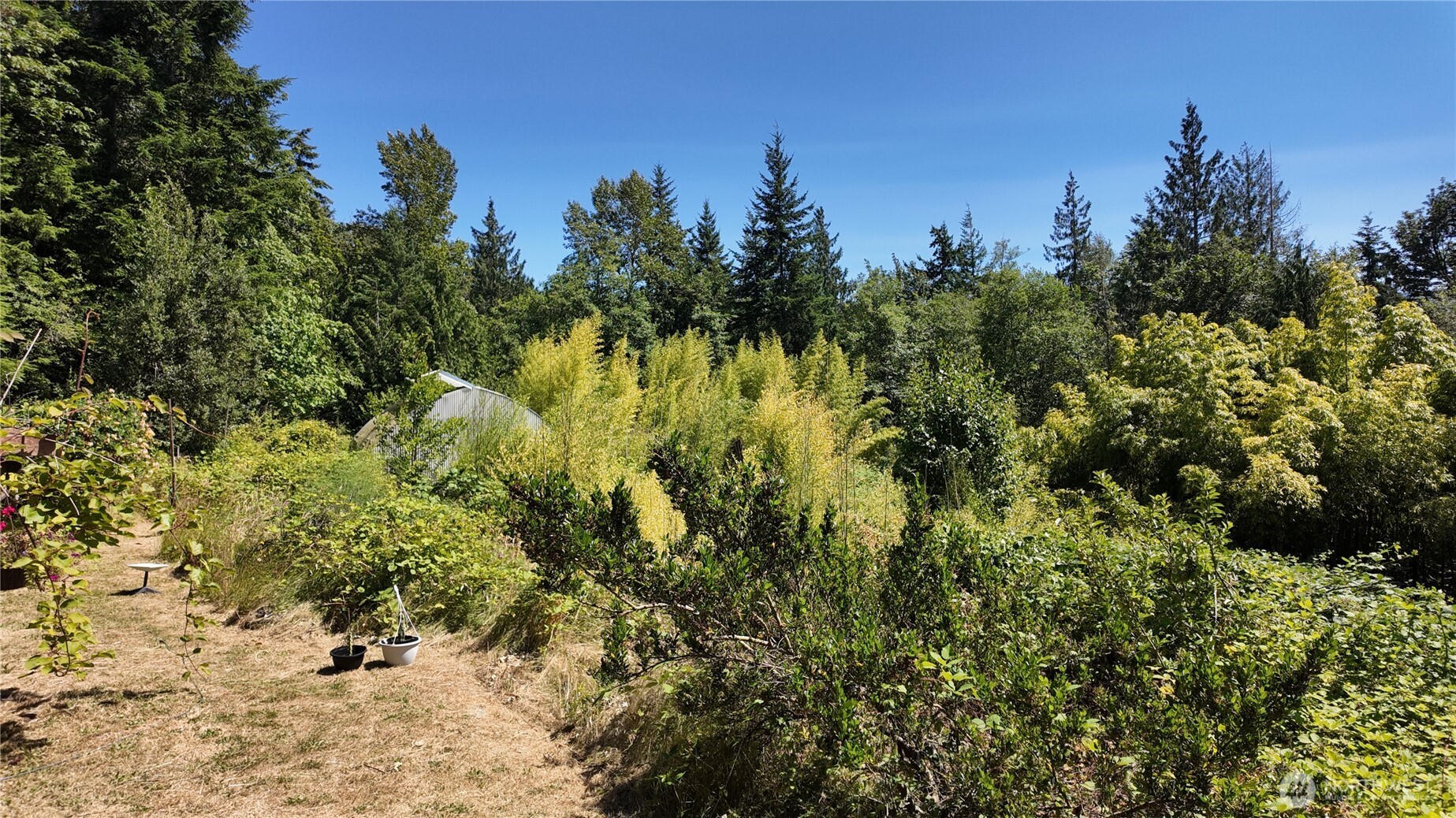 28651 Bacus Road Property Photo 25