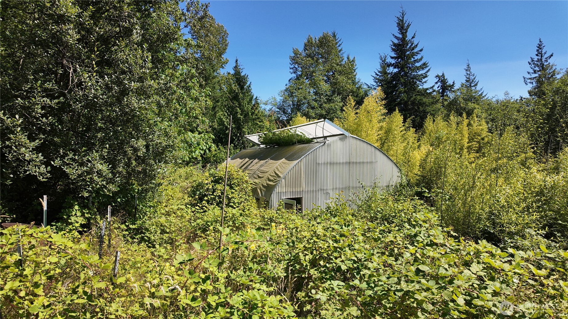 28651 Bacus Road Property Photo 27