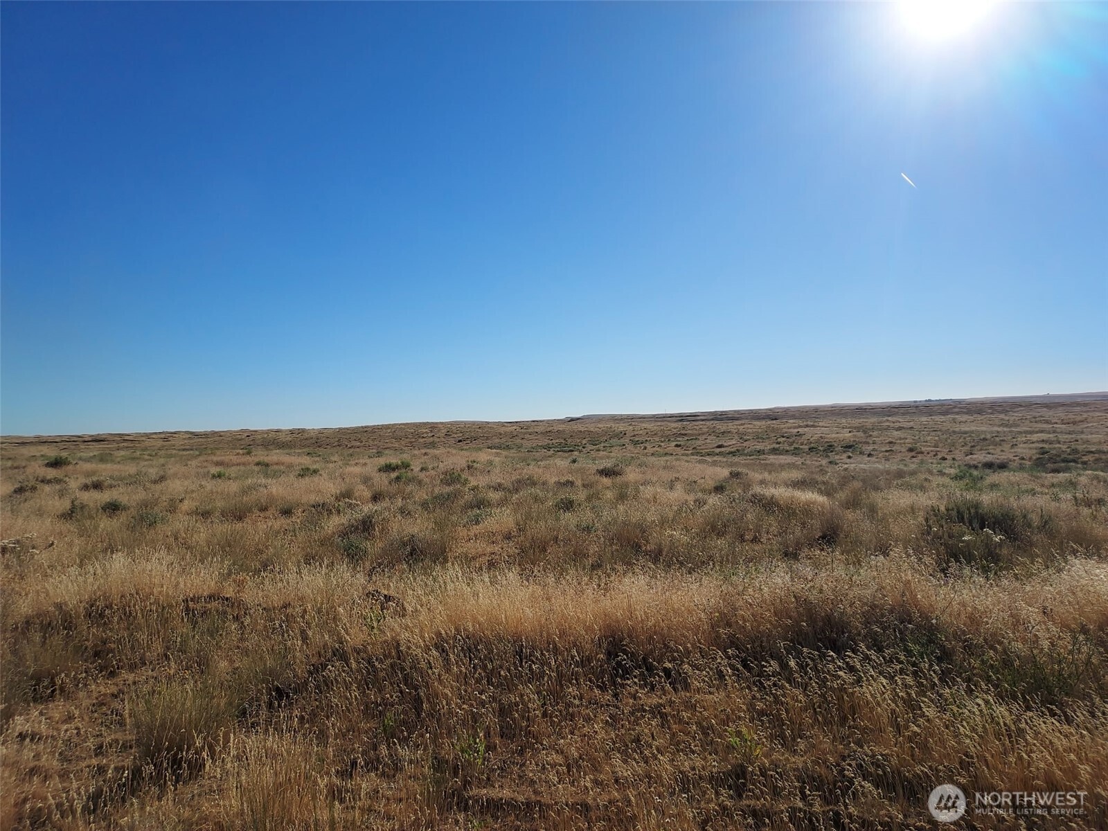 100 Seven Springs Dairy Road Property Photo 5