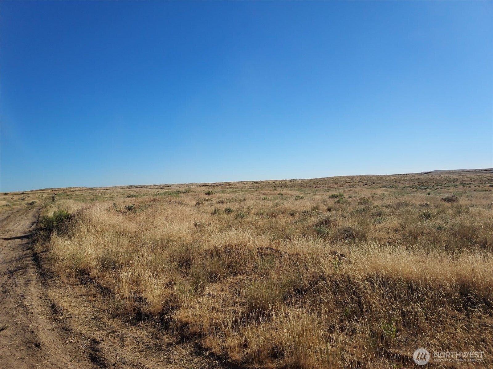 100 Seven Springs Dairy Road Property Photo 6