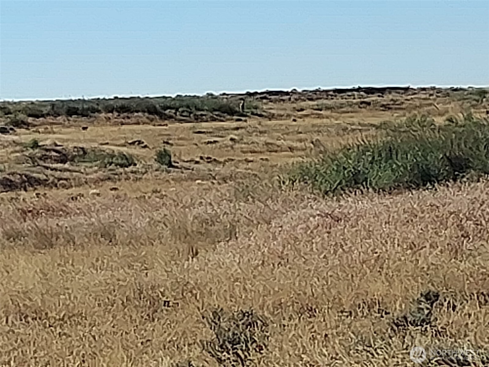 100 Seven Springs Dairy Road Property Photo 16
