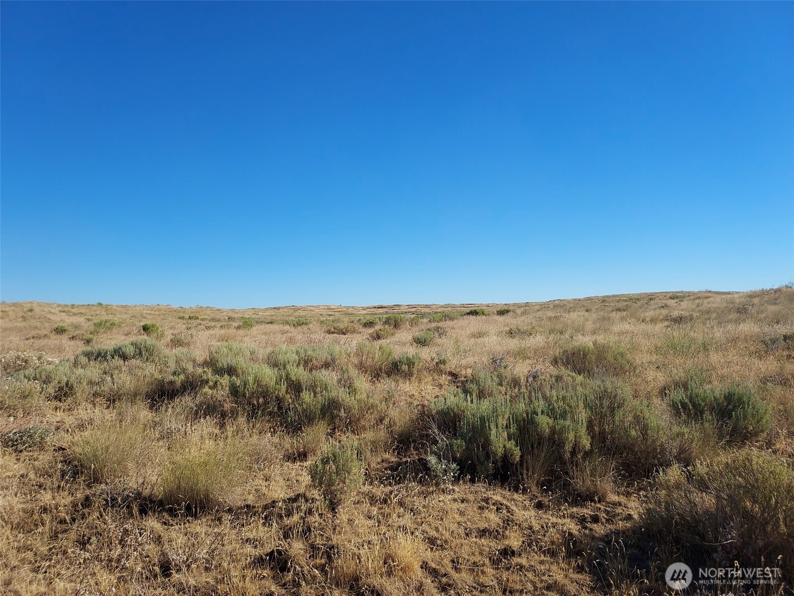 100 Seven Springs Dairy Road Property Photo 17