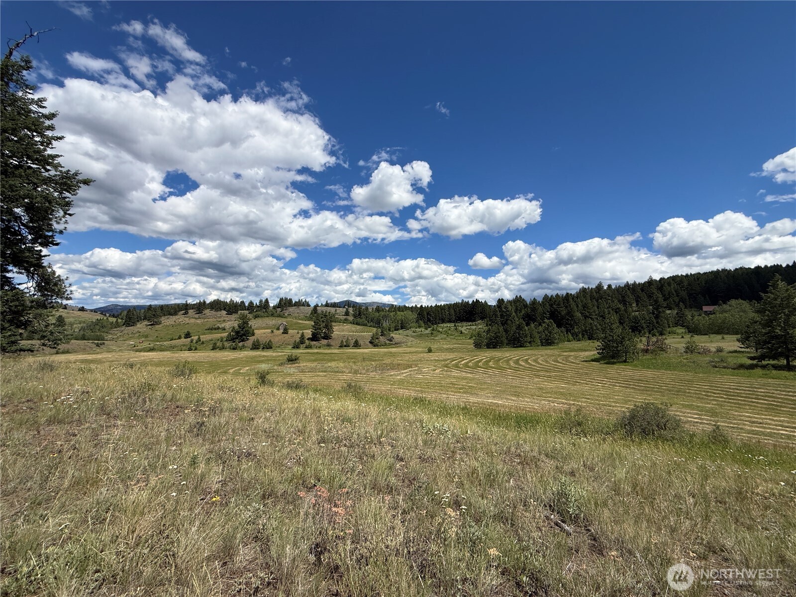 42 Tedesco Road Property Photo 1