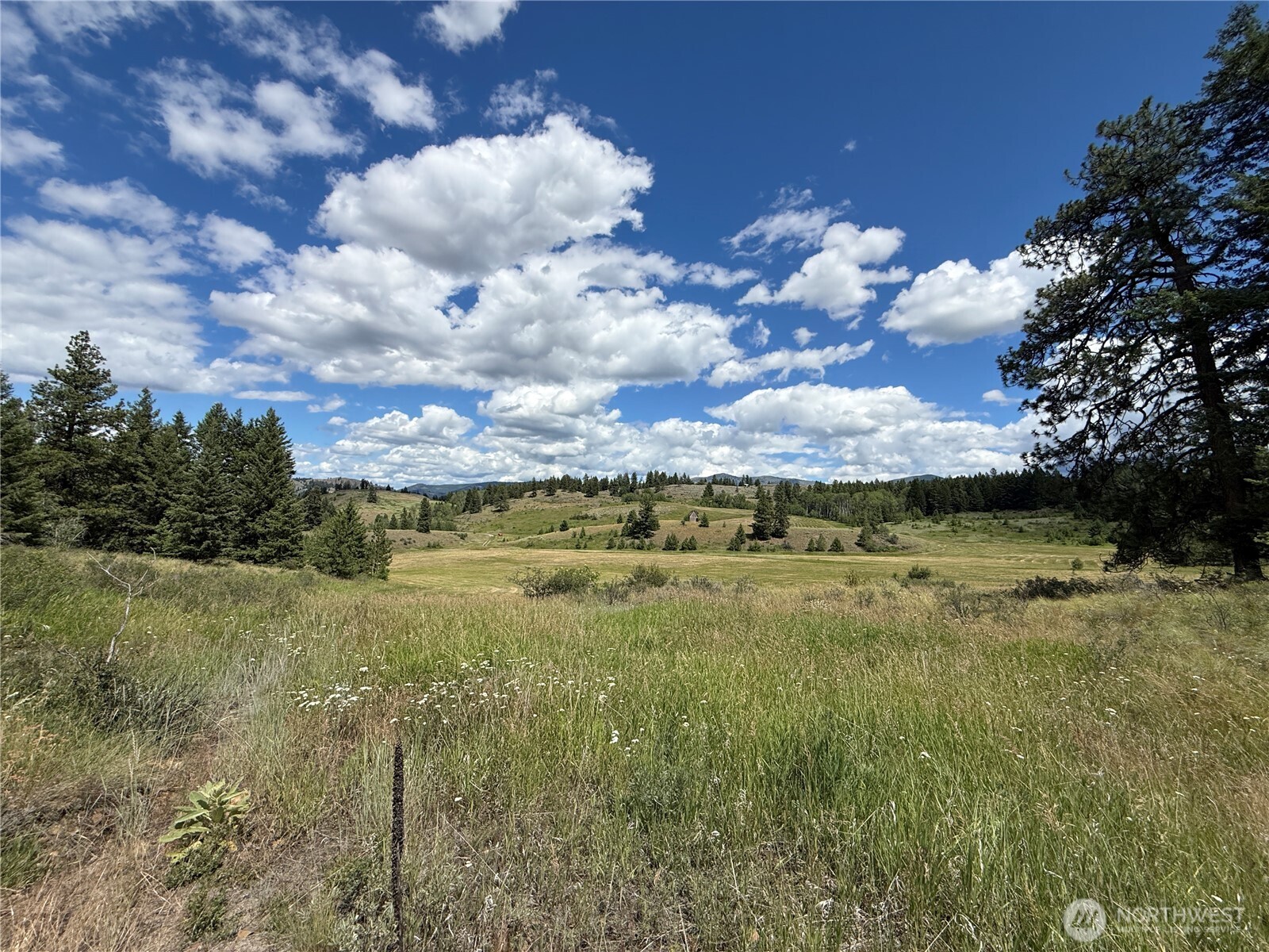 42 Tedesco Road Property Photo 8