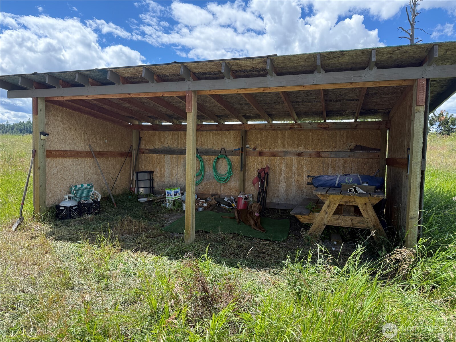 42 Tedesco Road Property Photo 11