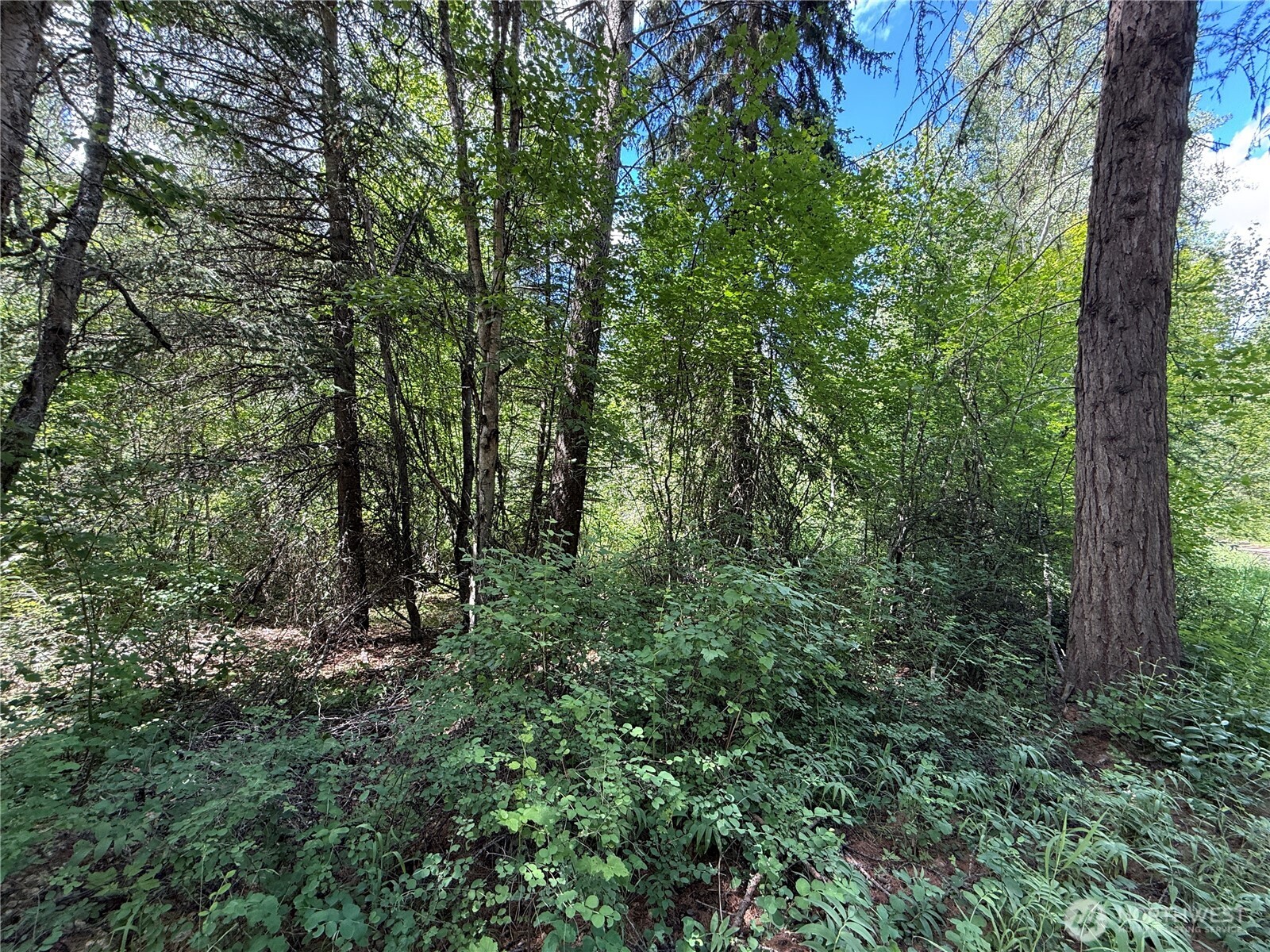42 Tedesco Road Property Photo 15