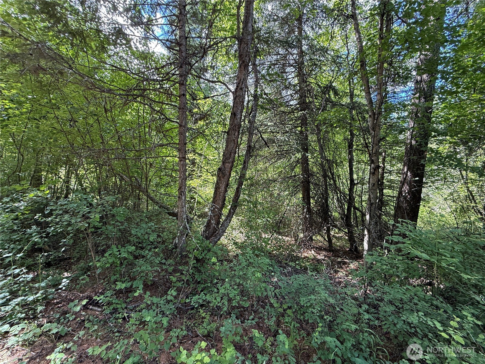42 Tedesco Road Property Photo 16
