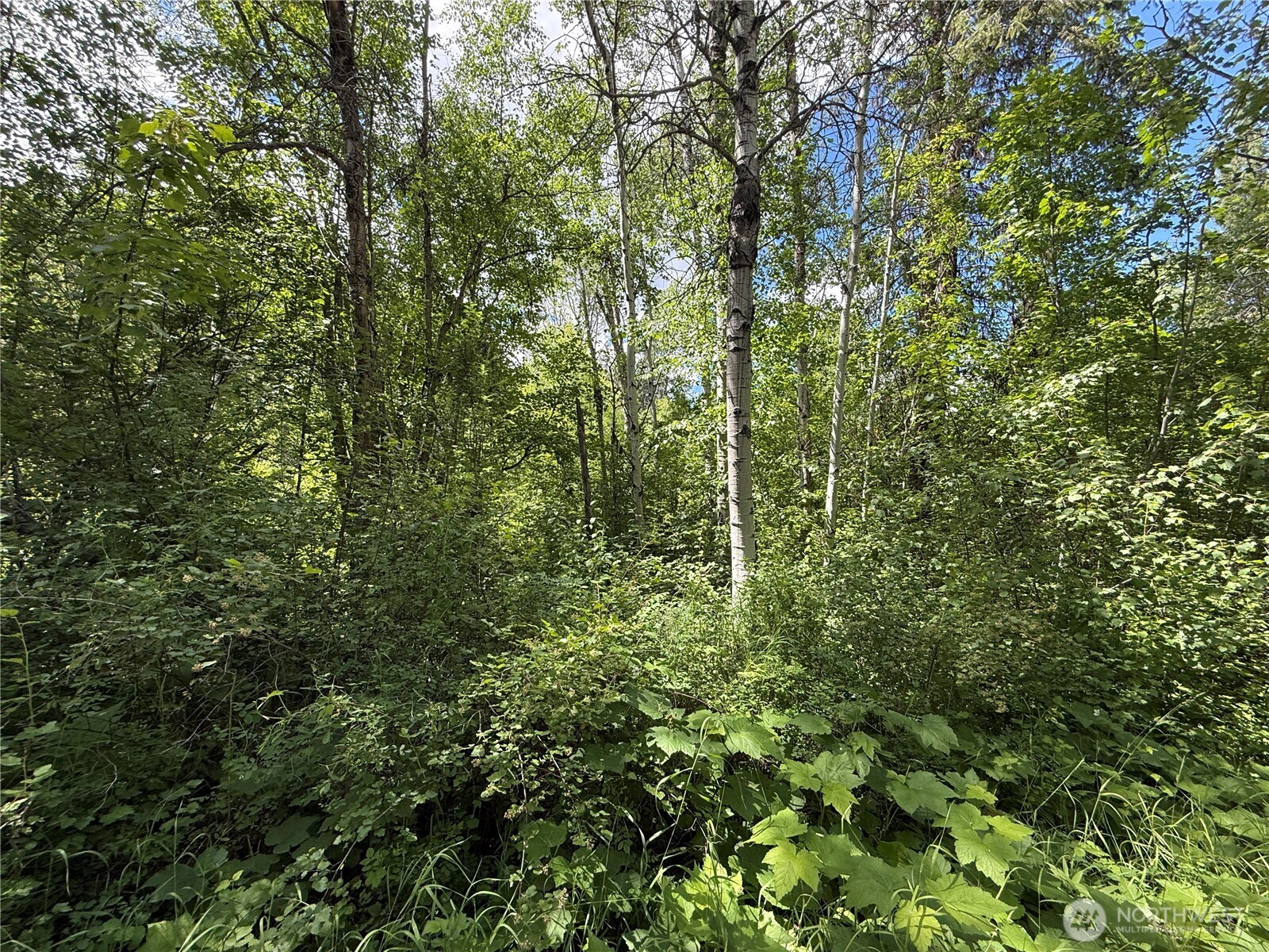 42 Tedesco Road Property Photo 17