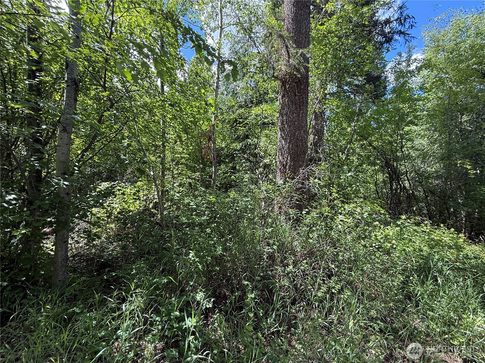 42 Tedesco Road Property Photo 18