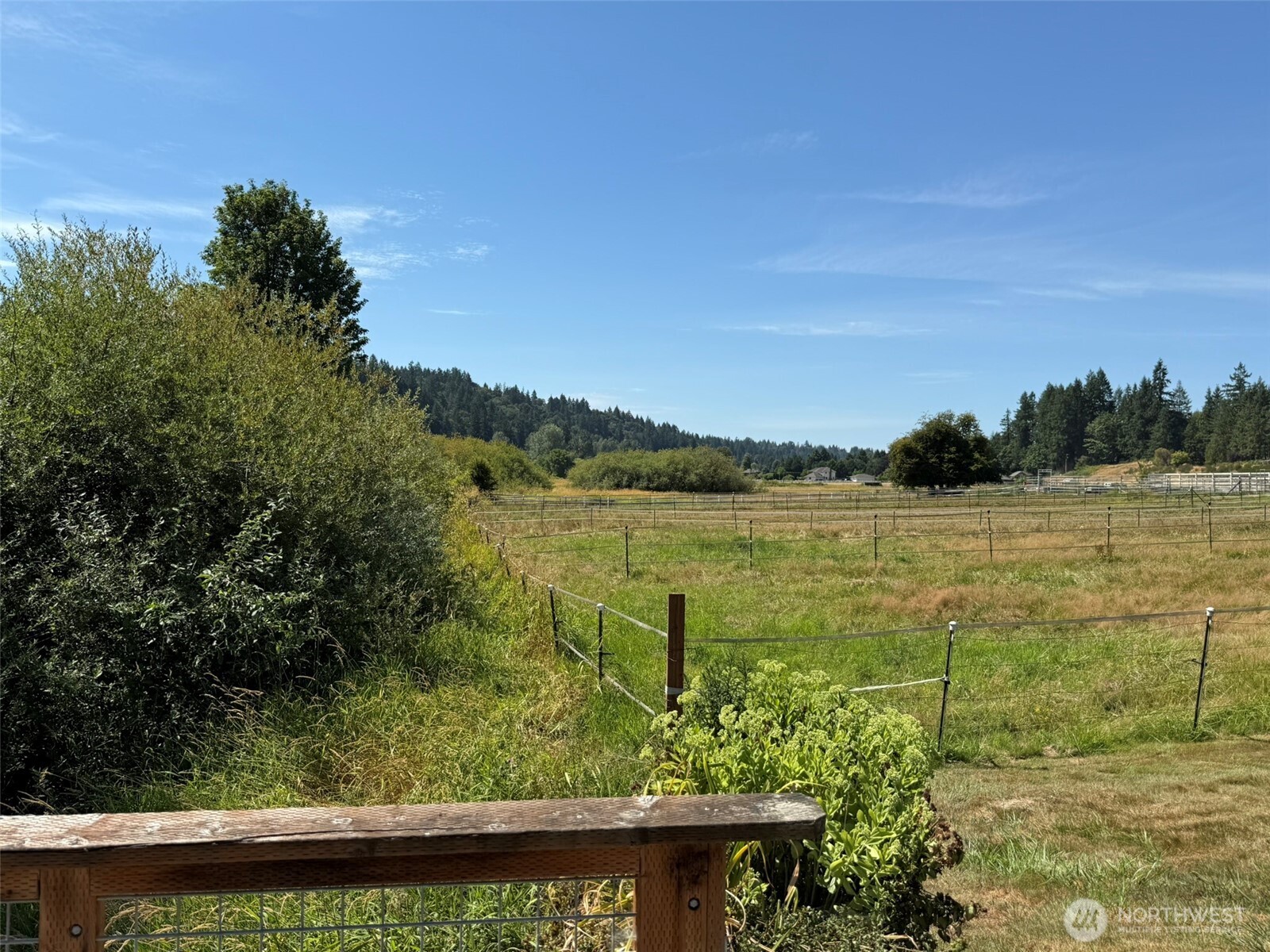 13921 217th Avenue Property Photo 27